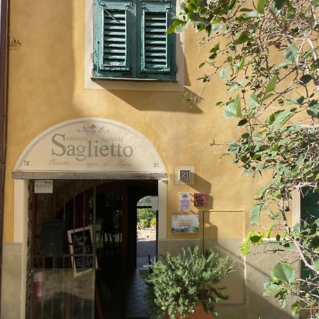 Uliveto Saglietto Agriturismo A Poggi Apartments Imperia Bagian luar foto
