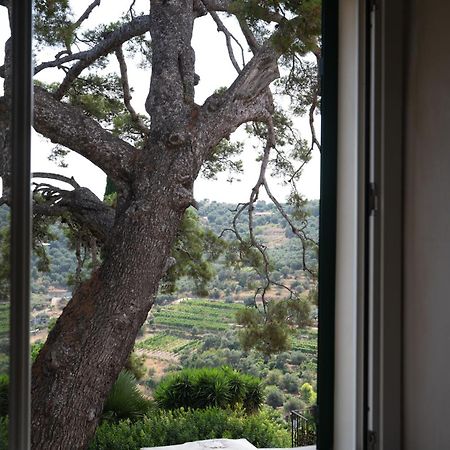 Uliveto Saglietto Agriturismo A Poggi Apartments Imperia Bagian luar foto