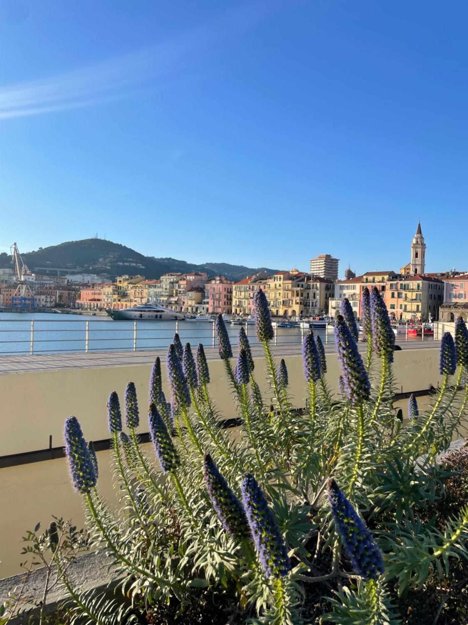 Uliveto Saglietto Agriturismo A Poggi Apartments Imperia Bagian luar foto