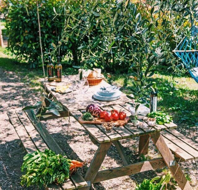 Uliveto Saglietto Agriturismo A Poggi Apartments Imperia Bagian luar foto