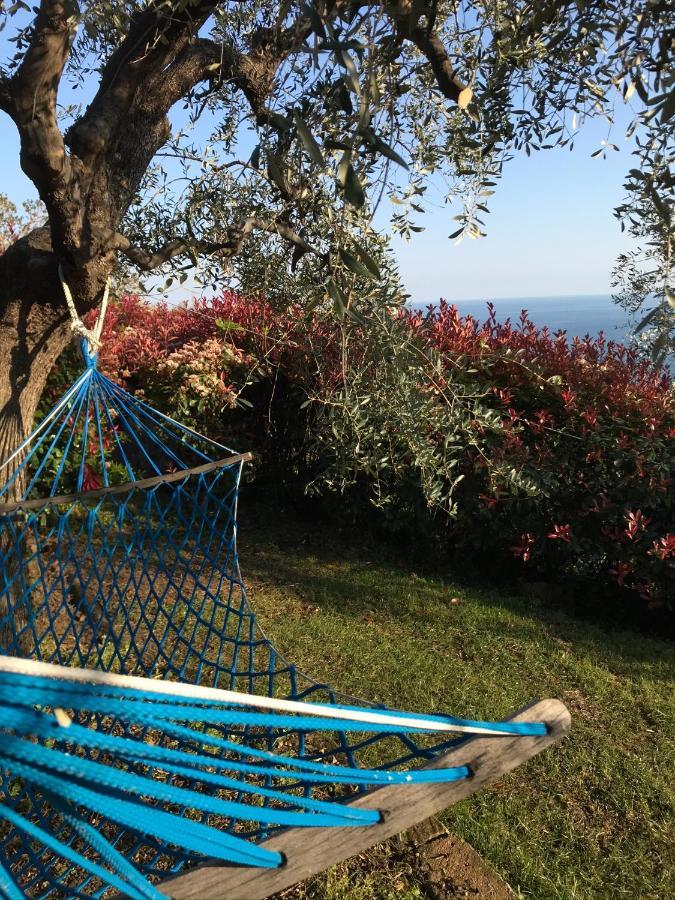 Uliveto Saglietto Agriturismo A Poggi Apartments Imperia Bagian luar foto